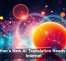 Tether&rsquo;s New AI Translation Needs No Internet